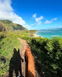 TEXAWAIIAN LUXURY COUPLES ADVENTURE - HAWAII SURF | SAIL | SADDLE