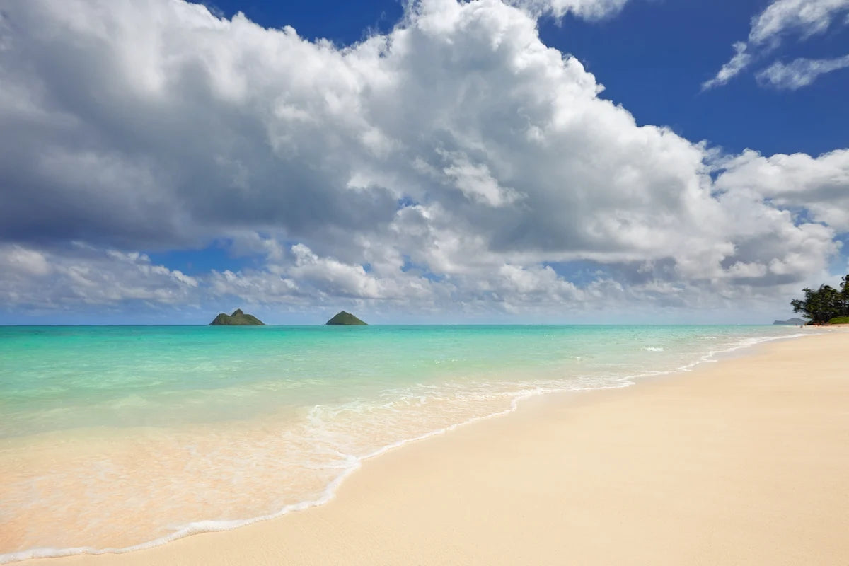 TEXAWAIIAN LUXURY COUPLES ADVENTURE - HAWAII SURF | SAIL | SADDLE