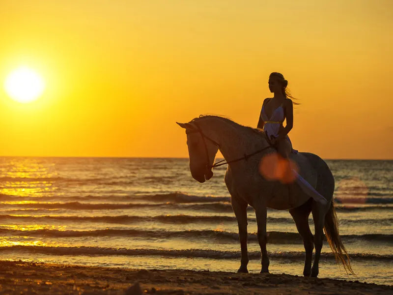 TEXAWAIIAN LUXURY COUPLES ADVENTURE - HAWAII SURF | SAIL | SADDLE